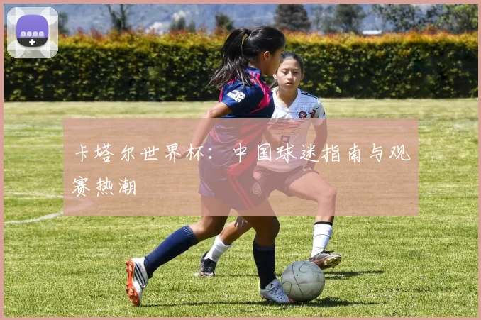 卡塔尔世界杯：中国球迷指南与观赛热潮