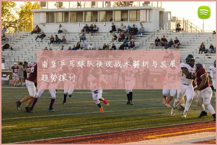 南京乒乓球队快攻战术解析与发展趋势探讨