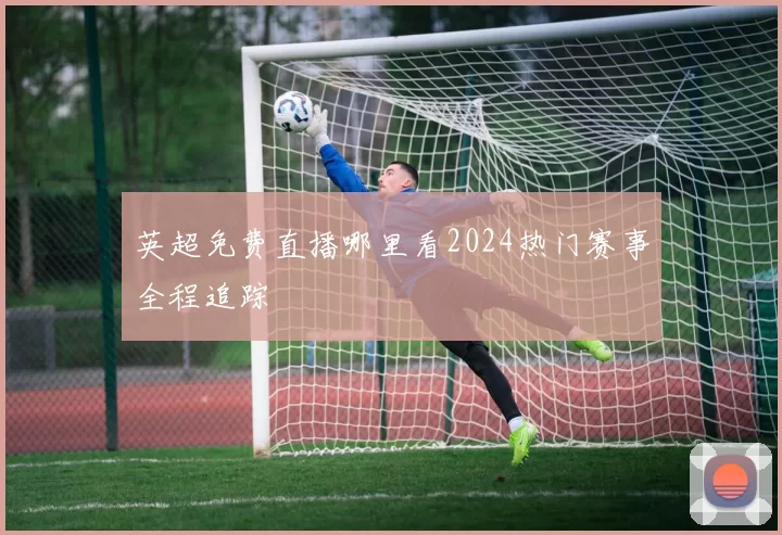 英超免费直播哪里看2024热门赛事全程追踪