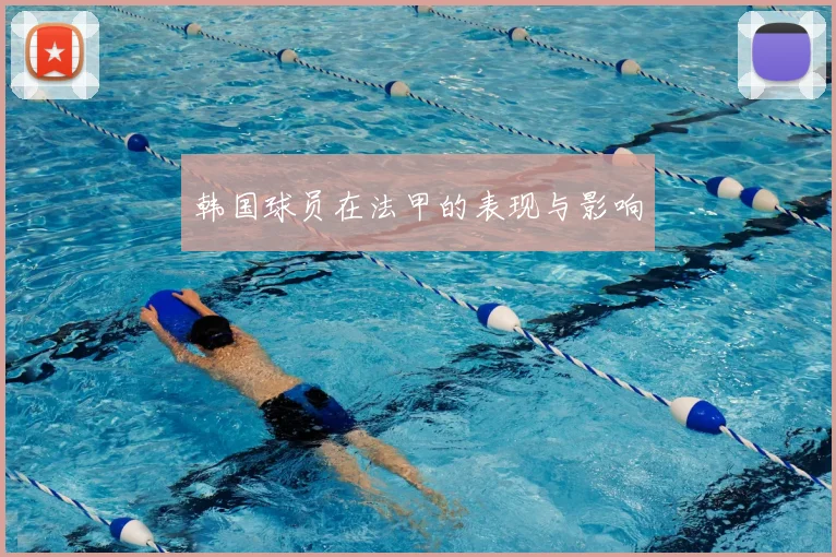 韩国球员在法甲的表现与影响