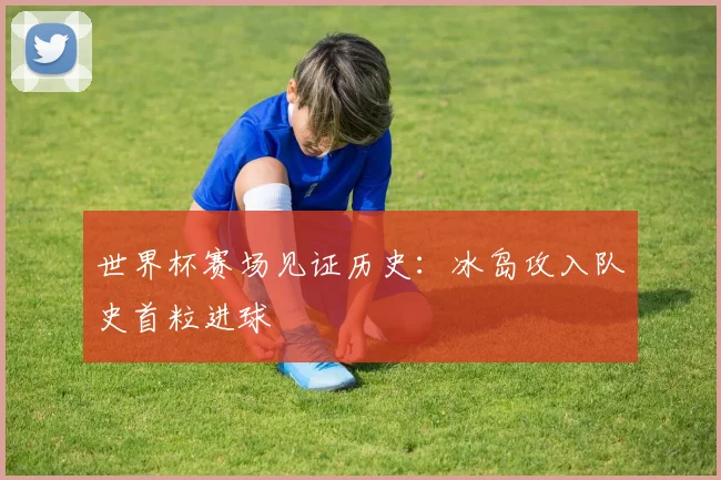 世界杯赛场见证历史：冰岛攻入队史首粒进球