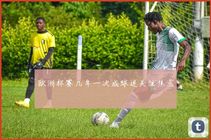 欧洲杯赛几年一次成球迷关注焦点