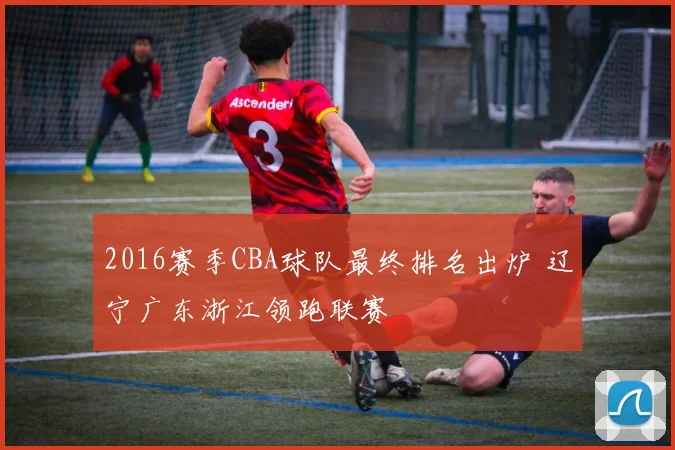 2016赛季CBA球队最终排名出炉 辽宁广东浙江领跑联赛